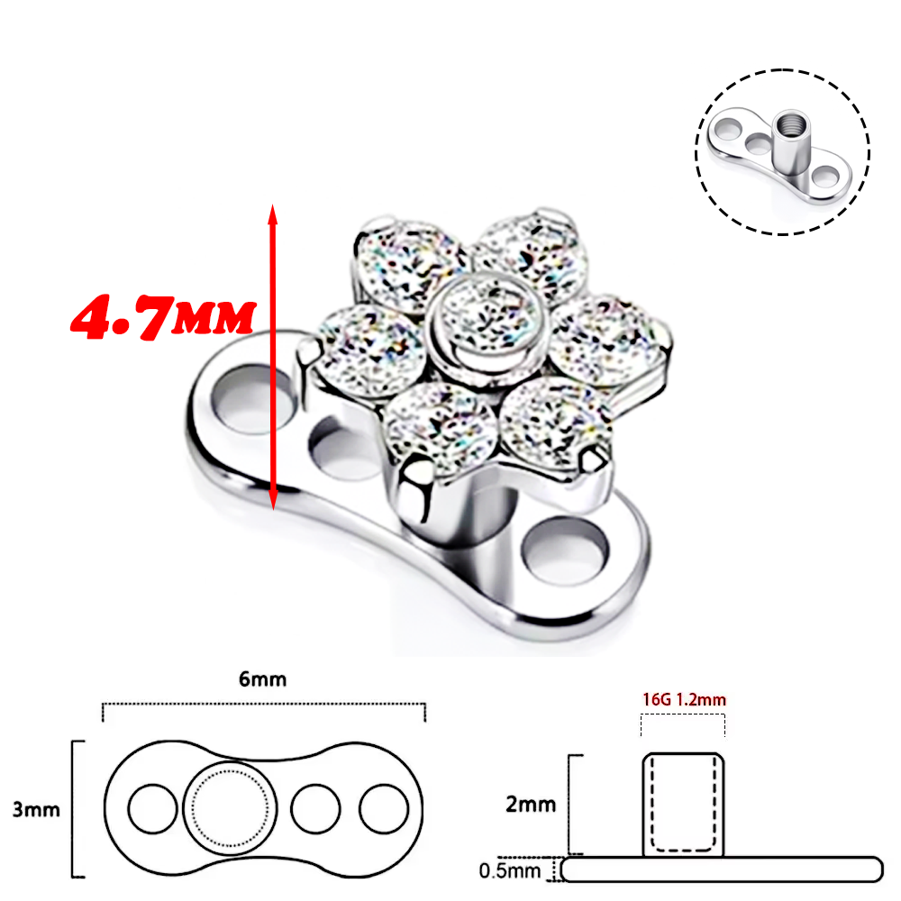 F136 Высококачественный титано – обзор и цена Body Piercing Quality Jewelry